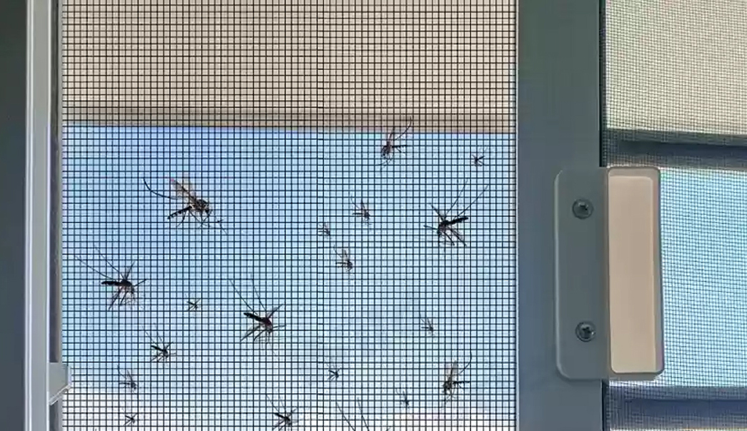 Jak umyć moskitiery? Czyszczenie moskitier ramkowych i rolowanych