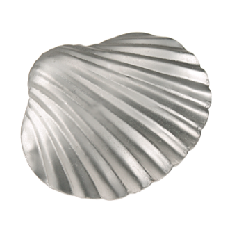 ***MUSZLA  Klamerka Ozdobna chrom mat